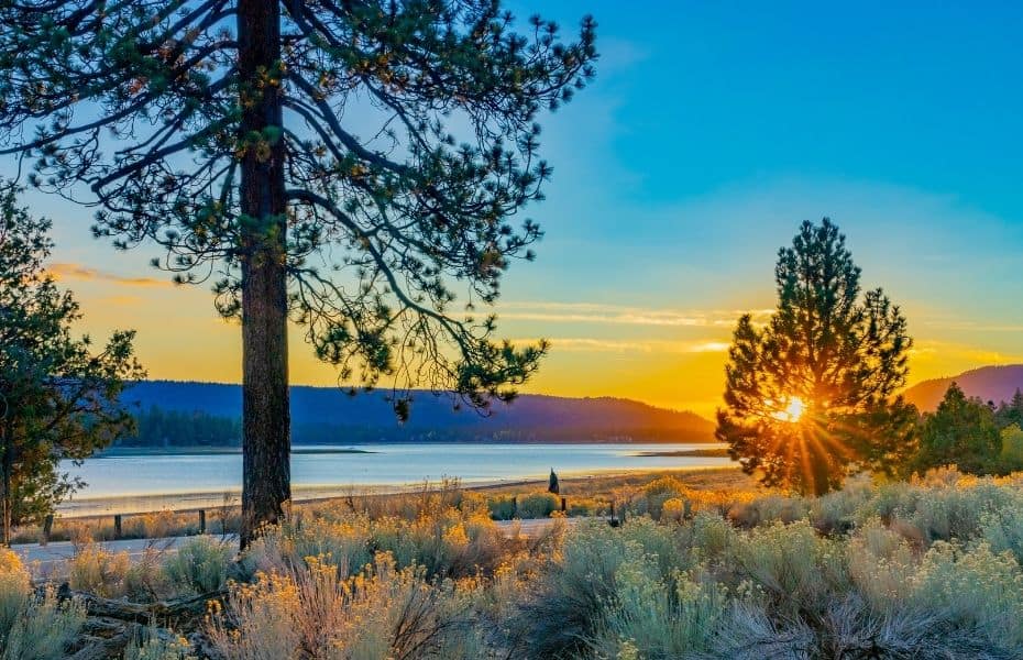 Sunset with sunburst rays shines through a pine tree at Big Bear Lake, California